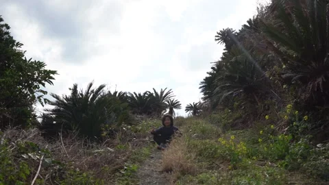 A Boy Sitting on a Beautiful Natural Path in the Sunlight, Rising and Running Stock Footage 333186139
