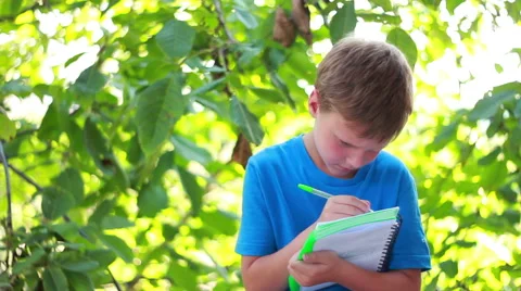 Boy Sitting On Bench Near Trees And Writing Stock Footage 40671149