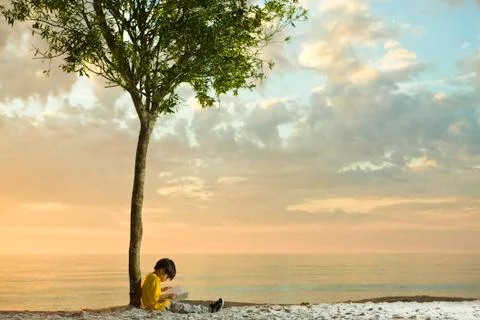 Boy sitting beneath tree on beach reading book Stock Photos