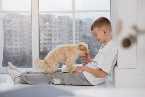 Boy sitting by big window reading for puppy dog at home Stock Photos