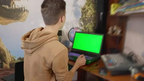 Boy sitting at the computer Stock Footage 177294796