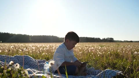 The boy is sitting in a field with a tablet in his hands. The child will scroll Stock Footage 156036381