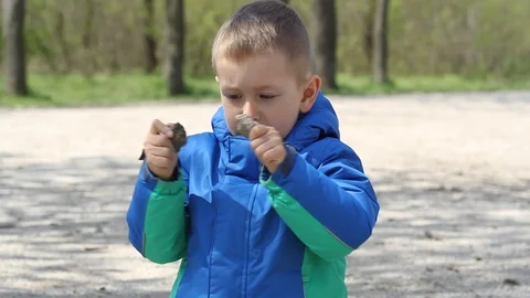 Boy is sitting in forest and playing with stones. Little boy is showing stones. Stock Footage 106807865