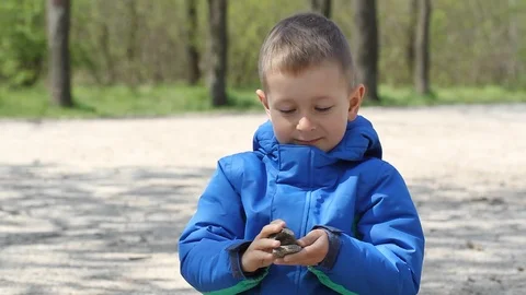 Boy is sitting in forest and playing with stones. Little boy is showing stones. Stock Footage 106807900