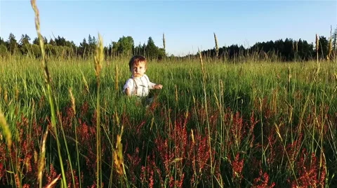 Boy sitting on the grass on a big field. Stock Footage 63118615