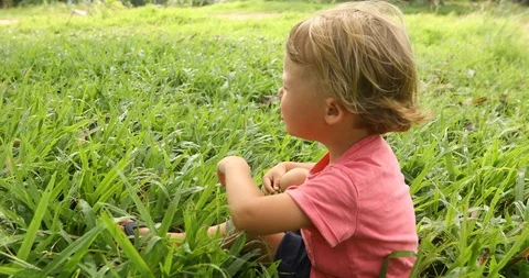 Boy sitting in the grass outside Stock Footage 100080009