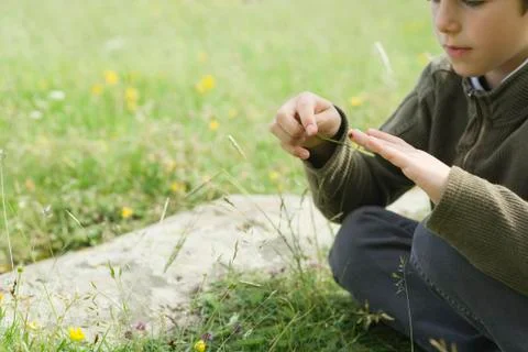 Boy sitting on grass, playing with ladybug Stock Photos