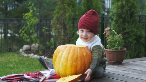 Boy sitting by a large pumpkin on the terrace Stock Footage 252046973