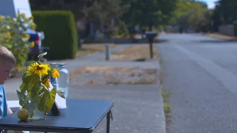 Boy Sitting at a Lemonade Stand Looking Around Stock Footage 94398146