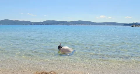 The boy is sitting in the shallows on the beach and playing. Stock Footage 133085643