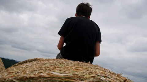 Boy sitting on top of hay bale, overlooking field Stock Footage 112187043