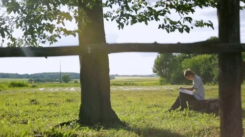 The boy is sitting by the tree and drawing a pencil on paper. The rays of the 動画素材 78561912
