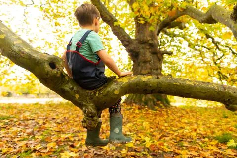 Boy sitting on tree branch Stock Photos