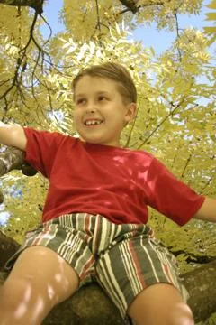 Boy sitting in a tree Stock Photos