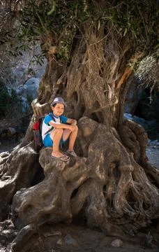 Boy sitting on tree trunk Stock Photos