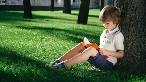 A boy is sitting under a big tree on the green grass and reading a book. Video stock 136638195
