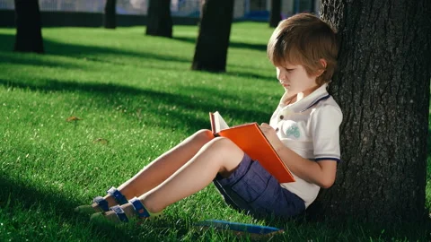A boy is sitting under a big tree on the green grass and reading a book. Video stock 136638867