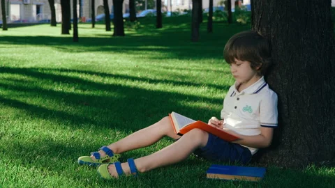 A boy is sitting under a big tree on the green grass and reading a book. Video stock 136640365