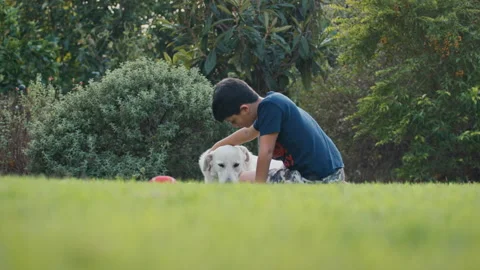 Boy sitting while stroking a dog outside on a grass lawn Stock Footage 275282729