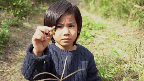 A Boy Sitting on a Wilderness Path, Happily Showing Off a Caught Grasshopper Stock Footage 333186102