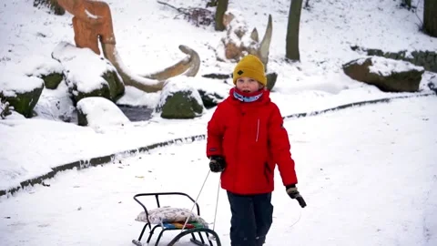 Boy skiing in the park 스톡 동영상 147507515