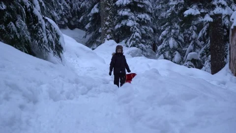 Boy on a sled Stock Footage 151567031