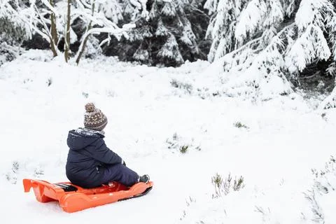 The boy is sledding in warm clothes through the winter forest. Children rest on Stock Photos