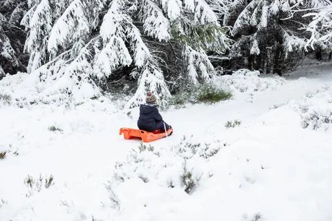 The boy is sledding in warm clothes through the winter forest. Children rest on Stock Photos