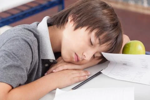 Boy sleeping in class Stock Photos