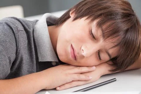 Boy sleeping in class Stock Photos