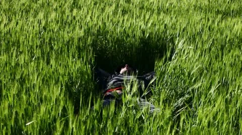 A boy sleeping in a field of wheat Stock Footage 11121020