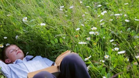 Boy sleeping on a green grass with a book Stock Footage 78009209