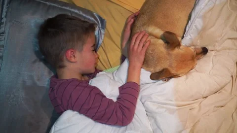 Boy sleeping with his dog in bed Stock Footage 263150688