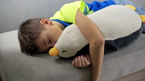 The boy is sleeping lying on the sofa with a soft toy. a penguin toy. gentle Stock Footage 167157793