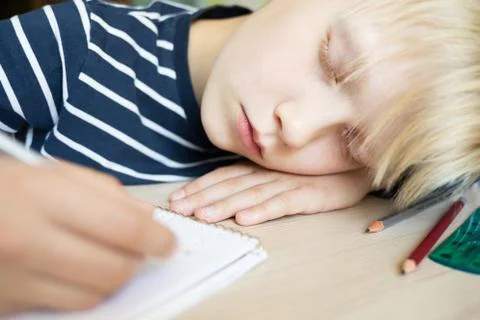 Boy sleeping while doing his homework in notebook. Stock Photos