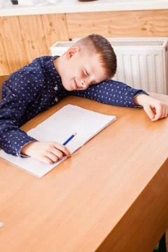 Boy sleeps on the lesson Stock Photos