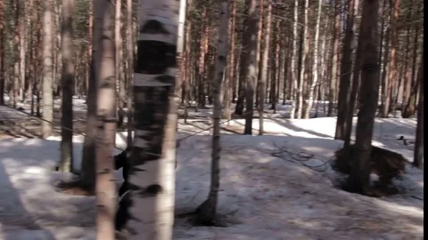 Boy sliding down a zip line. Safety descending the hillside Stock Footage 76553291