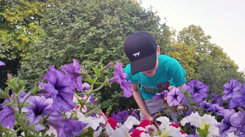 Boy smelling flowers Stock Footage 197791804