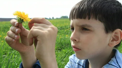 The boy smells flowers Stock Footage 746392