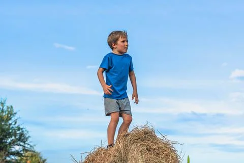 Boy smile play stand on haystack bales hay, looking into distance, clear blue Stock Photos