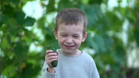 Boy smiling while biting into a fresh cucumber in a lush green garden Stock Footage 341903131