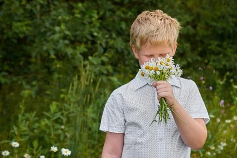 Boy sniffs a bunch of daisies in the summer outdoors Stock Photos