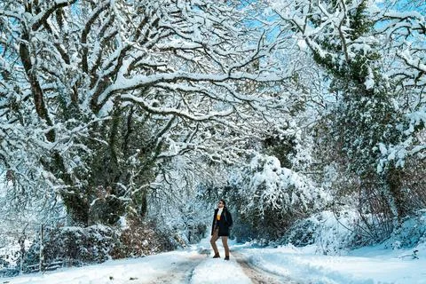 A boy in a snowed landscape Stock Photos
