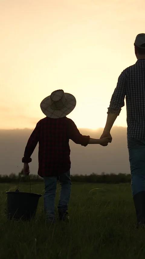 Boy son child father tree shovel plant farmer gardener field garden silhouette Stock Footage 277512749