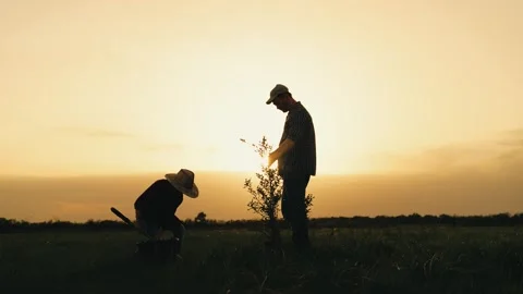 Boy son child father tree shovel plant farmer gardener field garden silhouette Stock Footage 282890767