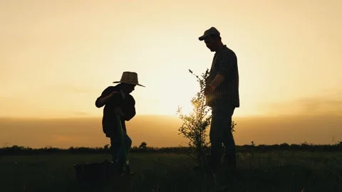 Boy son child father tree shovel plant farmer gardener field garden silhouette Stock Footage 282891388