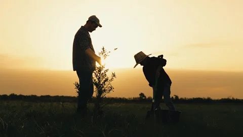 Boy son child father tree shovel plant farmer gardener field garden silhouette Stock Footage 291626618