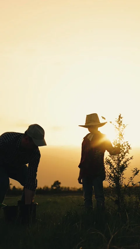 Boy son child father tree shovel plant farmer gardener field garden silhouette Stock Footage 301804268