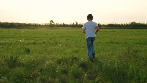 Boy son child running grass son sun sunset field park playground joyful happy Stock Footage 275965987