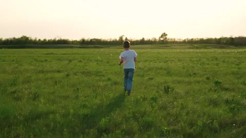 Boy son child running grass son sun sunset field park playground joyful happy Stock Footage 278510866